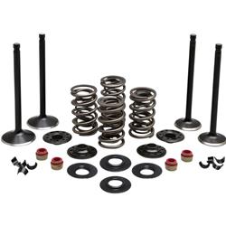 Kibblewhite Powersports Valvetrain Kits 20-22750