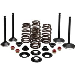 Kibblewhite Powersports Valvetrain Kits 20-22850