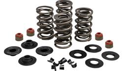 Kibblewhite Powersports Valve Springs 20-23500