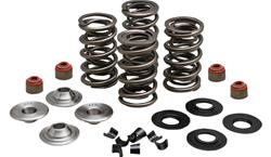 Kibblewhite Powersports Valve Springs 20-23550
