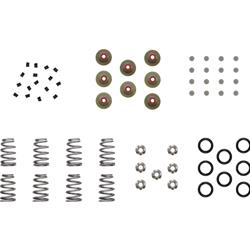Kibblewhite Powersports Valve Springs 20-23900