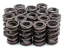 Kibblewhite Valve Springs 30-1017