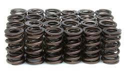 Kibblewhite Valve Springs for 1979-1982 CBX - 30-1018