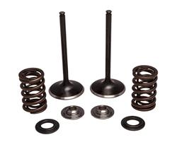 Kibblewhite Powersports Valve Springs 30-33250