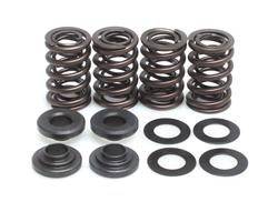 Kibblewhite Powersports Valvetrain Kits 40-4431