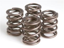 Kibblewhite Valve Springs 50-50004