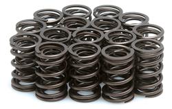 Kibblewhite Valve Springs 60-1028