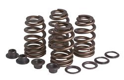 Kibblewhite High Performance Ovate Wire Valve Spring Kits 70-70280
