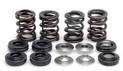 Kibblewhite Lightweight Racing Valve Spring Kits for 2008-2010 RANGER RZR 800, 2010 RANGER RZR 800 EPS - 82-82200