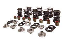 Kibblewhite Powersports Valvetrain Kits 82-82350