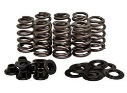 Kibblewhite Powersports Valve Springs 82-82580