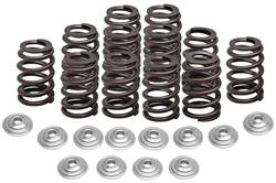 Kibblewhite Powersports Valve Springs 91-91300