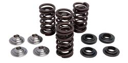Kibblewhite Lightweight Racing Valve Spring Kits 93-93050