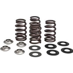 Kibblewhite Powersports Valve Springs 96-96500