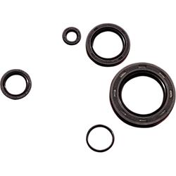 K&S Technologies Powersports Engine Seal Kits 950-1050