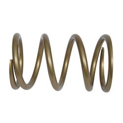 Landrum Conventional Rear Coil Springs H400