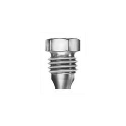 Lincoln Industrial Nuts 66260