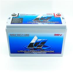 Lithium Pros 36 V Lithium-Ion Marine Trolling Batteries M31-36