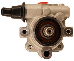 Lares New Power Steering Pumps for 2003-2010 M45, 2002-2006 Q45 - 13697