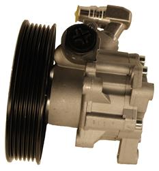 Lares New Power Steering Pumps for 2000-2006 S430, 2000-2003 S500 - 13987