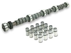 Lunati High Efficiency Cam and Lifter Kits 10210240LK