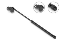 Stabilus Lift Supports for 2008-2012 ACCORD, 2010-2014 TSX - 4B-944089