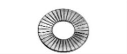 Manley Valve Spring Shims 02231-50
