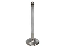 Manley Race Series Stainless Steel Valves 11134-1