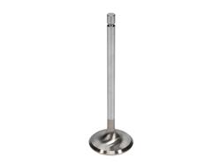 Manley Severe Duty Series Stainless Steel Valves 11235-8