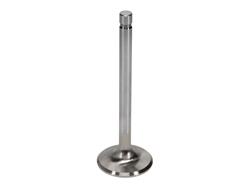 Manley Race Series Stainless Steel Valves 11311-8