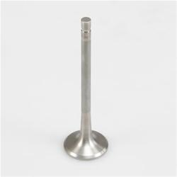 Manley Titanium Valves
