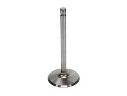 Manley Race Series Stainless Steel Valves 11788-8