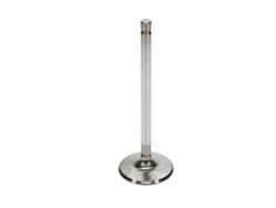 Manley Severe Duty Series Stainless Steel Valves 11813-1