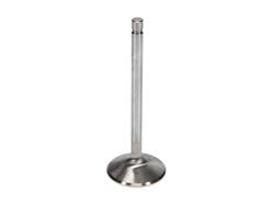 Manley Severe Duty Series Stainless Steel Valves 11884-8