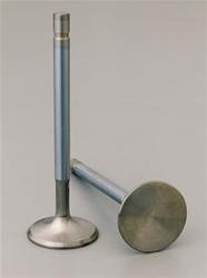 Manley Race Series Stainless Steel Valves 11889-1