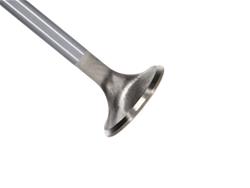 Manley Valves 12629-1