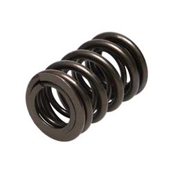 Manley Valve Springs 22110-1