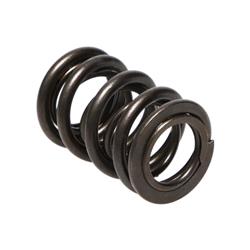 Manley Valve Springs 22120-1
