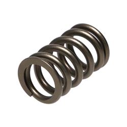 Manley Sport Compact Valve Springs 22125-1