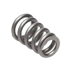 Manley Valve Springs 22135-1