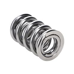 Manley NexTek Valve Springs 221424P-1