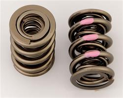 Manley 221447-16 Manley NexTek Valve Springs | Summit Racing