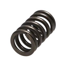 Manley Valve Springs 22145-16
