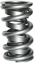 Manley Valve Springs 221441P-1