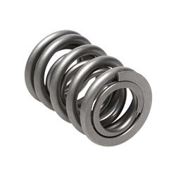 Manley Valve Springs 22160-1