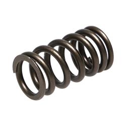 Manley Valve Springs 22170-1