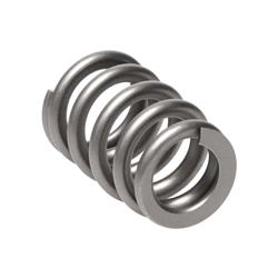 Manley Sport Compact Valve Springs 22185-1