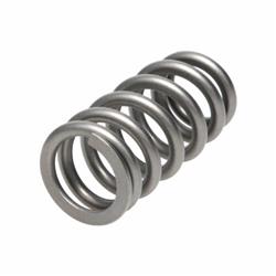 Manley Valve Springs 22200-16
