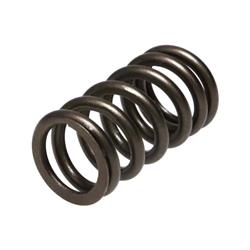 Manley Valve Springs 22205-32