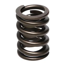 Manley Street Master Valve Springs 22406-1